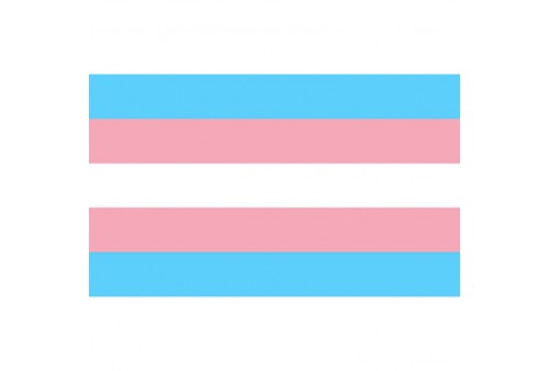 pride bandera 90 x 150 transexual